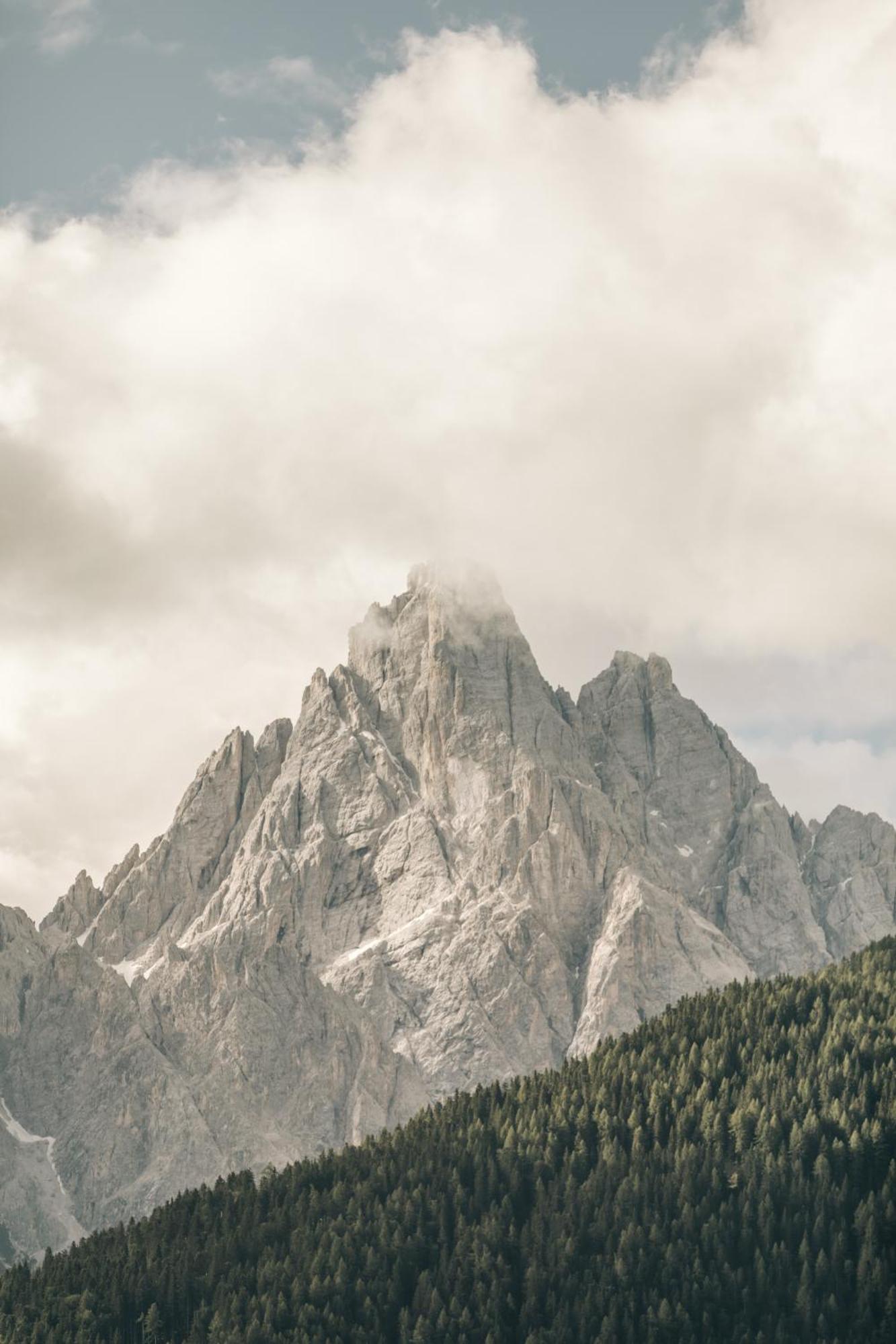 Naturhotel Leitlhof San Candido Exterior photo